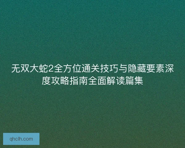 无双大蛇2全方位通关技巧与隐藏要素深度攻略指南全面解读篇集